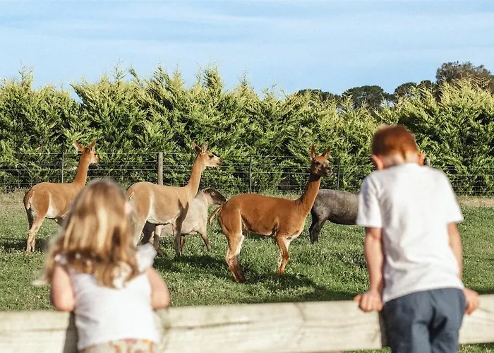 Kookaburra Cottage - 10 Minutes From Mount Gambier Cbd
